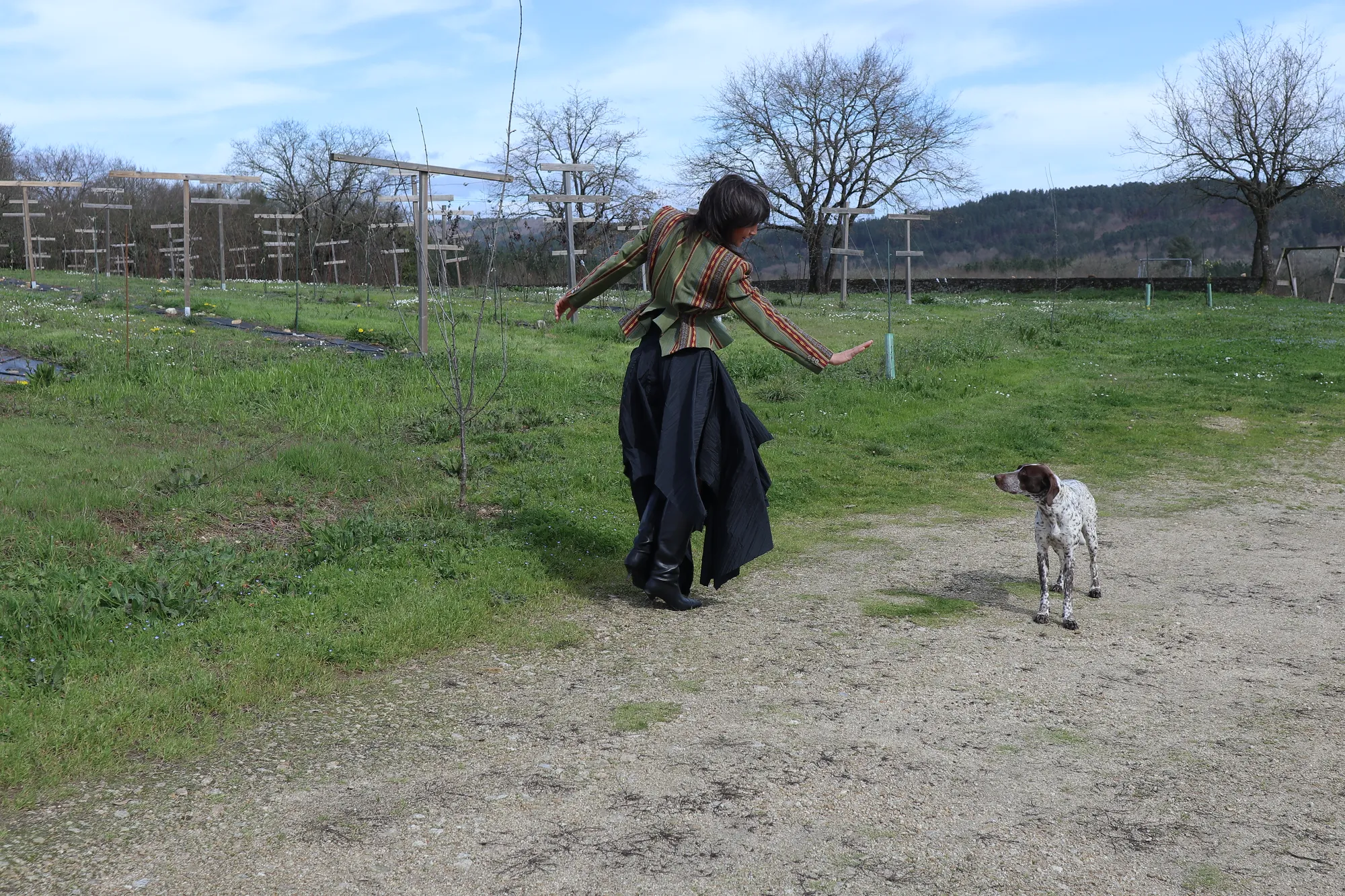 The Asymmetric Skirt — 4